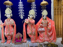 WhatsApp Image 2026-01-08 at 06.54.25.jpeg